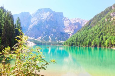 Pragser Wildsee . Güney Tyrol, İtalya 'daki Prag Dolomitlerinde Braies Gölü. Kozalaklı orman, Alpler ve göl 
