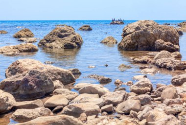 Denizde kayaların üzerinde duran kuş sürüsü. Kıyı kayaları ile kuşların yaşam alanı