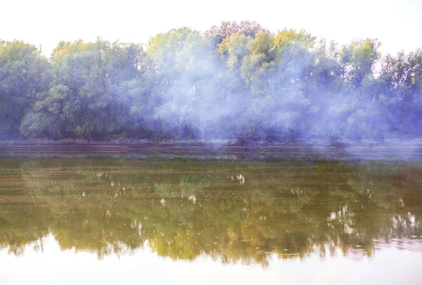 Haze Lake Water Morning Scenery Growing Trees River Fishing Foggy — Stock Photo, Image