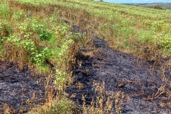 Natuurlijke Grond Verbrand Door Vuur Planten Verbranding — Stockfoto