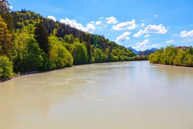 Almanya 'da Bavyera' da akan Lech Nehri. Bavyera 'nın nehir kıyısında kozalaklı ormanlar yetişiyor. 