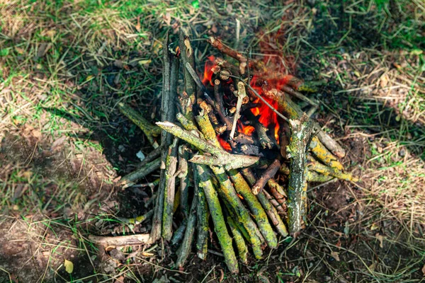 소풍을 브러시 우드를 태우는 — 스톡 사진