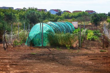 Arched green mesh greenhouse tunnels across dry soil field, fenced with wire and dotted with green plants inside. In sunny background, rural houses nestle among olive trees and shrubs on horizon