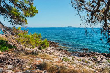 Sakin kıyı sahnesi, turkuaz suların açık bir gökyüzünün altında kayalık kıyılarla buluştuğunu gözler önüne seriyor. İnce çam ağaçları ve kuru otlar ufku noktalayan uzak adalarla manzarayı çerçeveler.