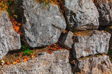 Rugged stone wall of large, irregular gray boulders rises amid an autumnal scene, with green moss and grass tufts sprouting from crevices. Scattered fall leaves in stones and soil below