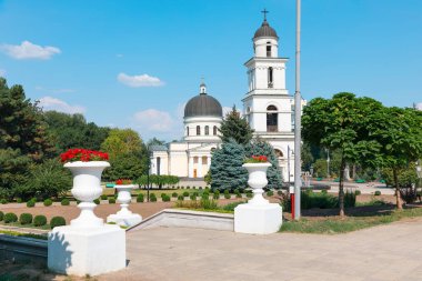 Güneşli bir günde ağaçlar ve neoklasik mimari çerçeveli Chisinau parkındaki İsa 'nın Doğumu Katedrali. Beyaz vazo ekicileri bu tarihi Moldova dönüm noktasına ve ruhani merkezine giden yolu çiziyor.