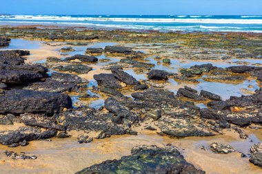 Kanarya Adaları 'ndaki gibi volkanik kıyı şeridinde dalgaların çekildiği Rocky plajı. Açığa çıkan karanlık kayalar kumlu bir kıyıya dağılmış ve berrak gökyüzünün altında sığ gel-git havuzlarıyla iç içe geçmiştir.