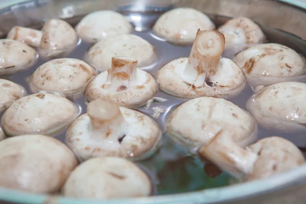 Champiñones en el bol — Foto de Stock