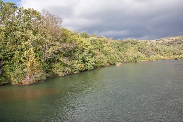 Ağaçlar riverside — Stok fotoğraf