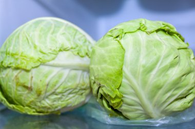 Lahana mavi zemin üzerine