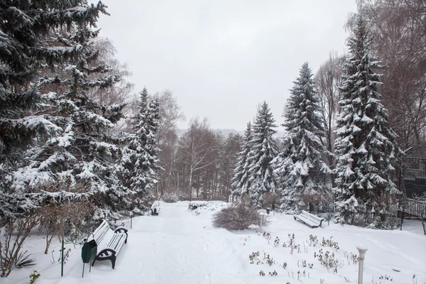 Снежный городской парк — стоковое фото