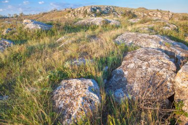 kayalık yeşil tepe