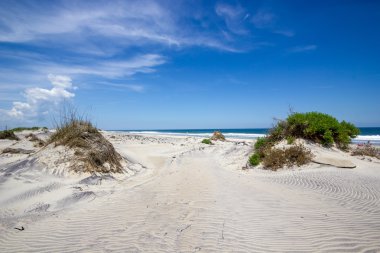 Sand Dunes on Coastline at Outer Banks clipart