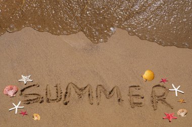                                Deniz yıldızları ve deniz kabukları kumsalda 