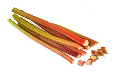                  Beyaz arka planda taze ravent sapları.              