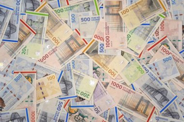 Danimarka kronu banknotları. DKK (Danimarka para birimi )