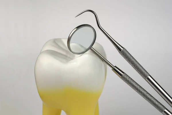 Tooth Dental Tools — Stock Photo, Image