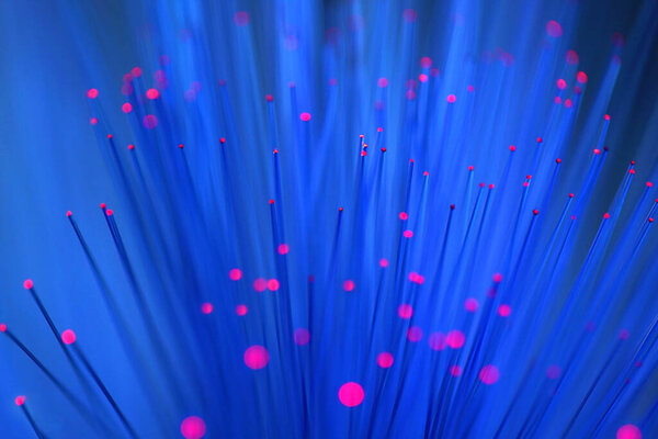 Blue Fiber Optics . Macro shot.