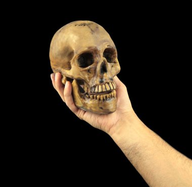 Holding human skull in hand. Conceptual image.( Shakespeare\