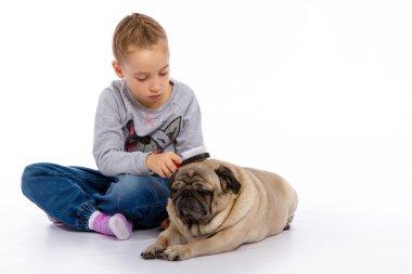 Kız köpek, bir stetoskop dinler önem verdiği.