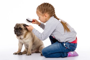 Kız köpek, bir stetoskop dinler önem verdiği.