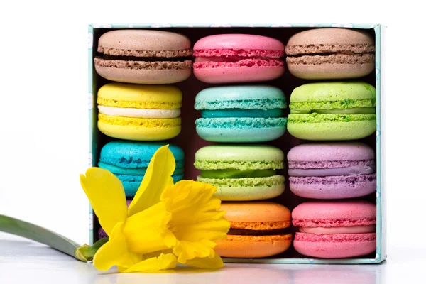 Parlak renkli Fransız macarons toplamıdır bir tatil — Stok fotoğraf