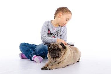 Kız köpek, bir stetoskop dinler önem verdiği.