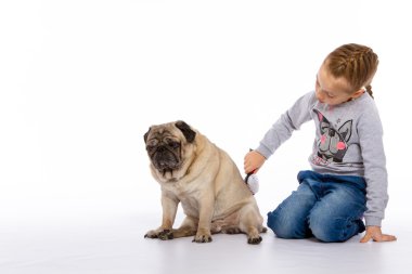 Kız köpek, bir stetoskop dinler önem verdiği.
