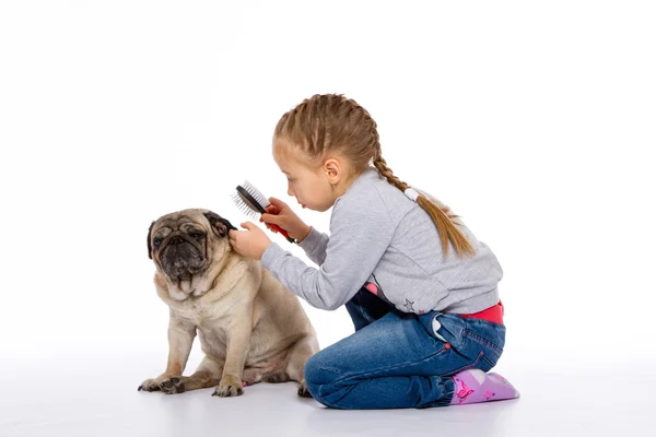 The girl cares for the dog, listens to a stethoscope. — Stock Photo, Image