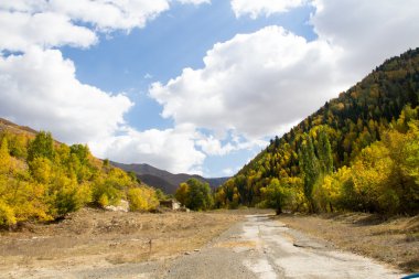 Dağlarda sonbahar manzarası
