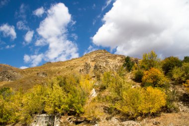 Dağlarda sonbahar manzarası