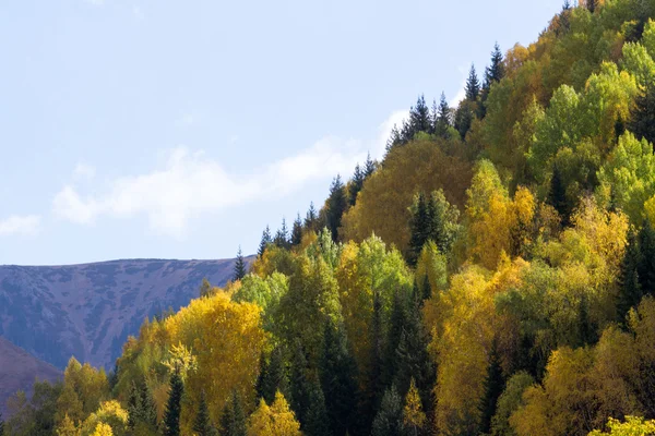 Podzimní krajina v horách — Stock fotografie