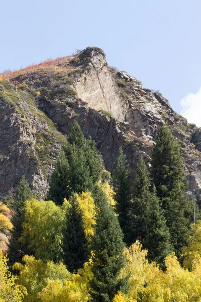 Paisaje otoñal en las montañas — Foto de Stock