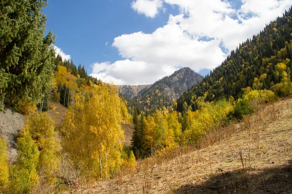 Herbstlandschaft in den Bergen — Stockfoto