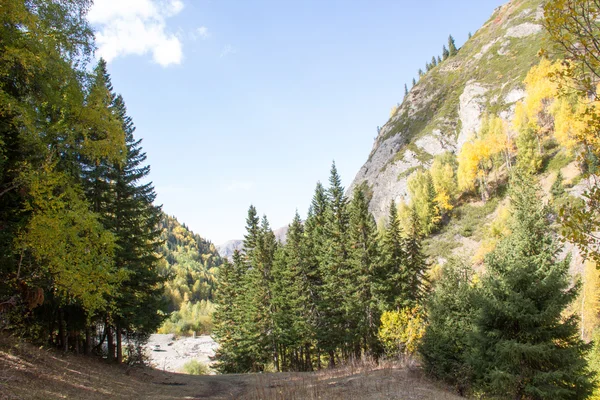 Paisaje otoñal en las montañas — Foto de Stock