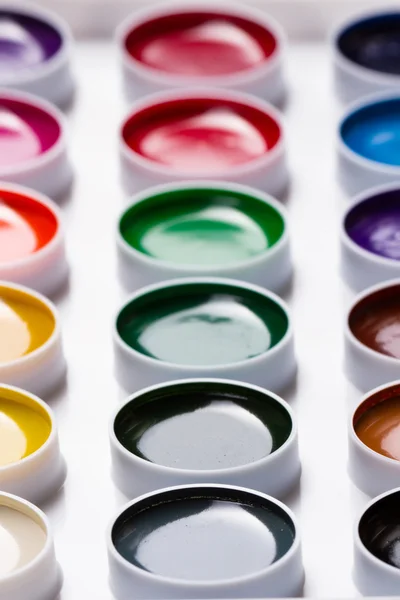 Watercolor paints on a white background — Stock Photo, Image