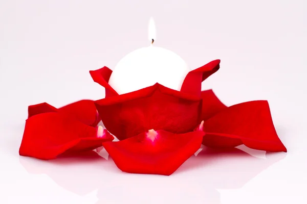 Vit ljus bland röda rosenblad — Stockfoto