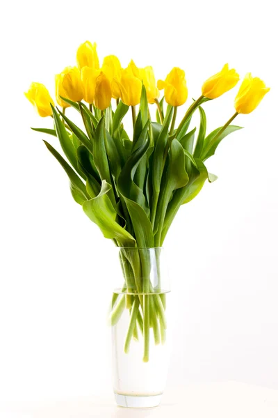 Bouquet of tulips on a white background — Stock Photo, Image