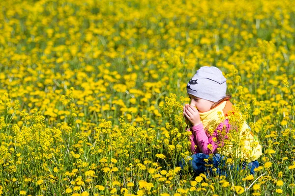 The girl collects dandelions Royalty Free Stock Images