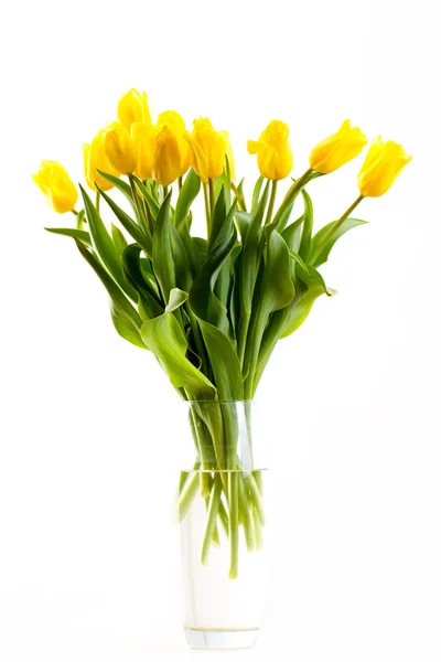 Bouquet of tulips on a white background — Stock Photo, Image