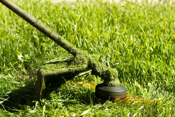 Grass trimmer cuts — Stock Photo, Image