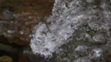 saf su içinde bir dağ dere