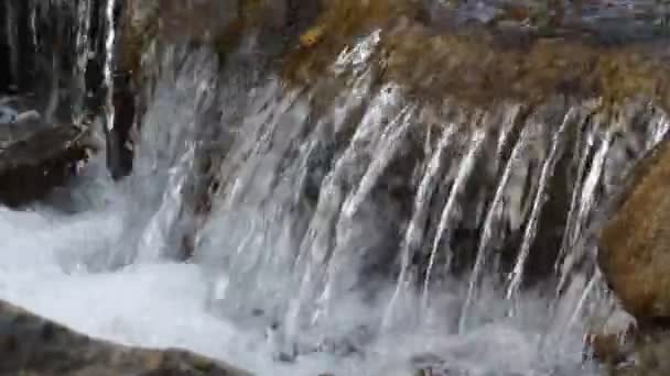 Água pura em um córrego de montanha — Vídeo de Stock