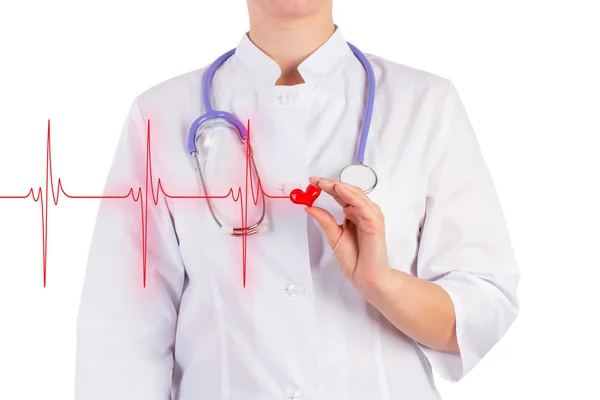 The doctor is holding a toy heart, isolated background — Stock Photo, Image