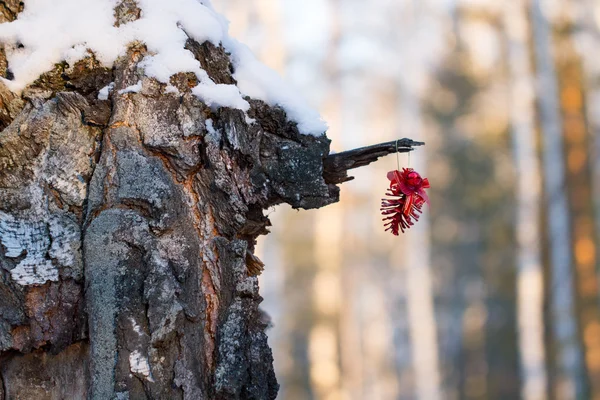 Vörös csomó a fa súlya — Stock Fotó