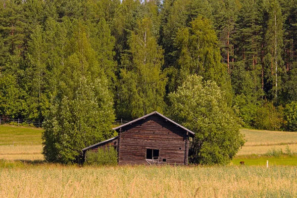 废弃的摇摇晃晃的木头房子 森林边的窗户破了 — 图库照片