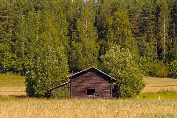 Övergivet Skrangligt Trähus Med Ett Trasigt Fönster Utkanten Skogen Stockfoto