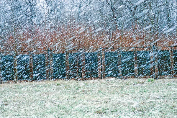 Silný Sníh Sněhová Zeď Bočním Větrem Nic Není Vidět — Stock fotografie