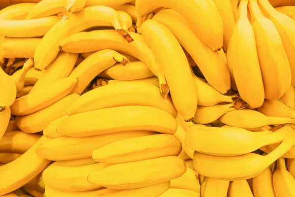 Mogna Gula Klasar Nya Grödor Bananer Samlade Ett Gäng Stockbild