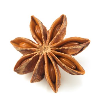 Anason star beyaz zemin üzerine